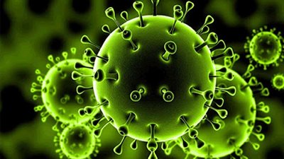 غدًا.. الصحة: تدريب الأطباء على بروتوكولات علاج كورونا الحديثة