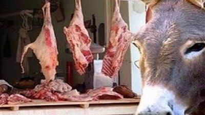 بالأسماء.. ضبط متهمين جدد في قضية لحوم الحمير بحلوان والمعصرة