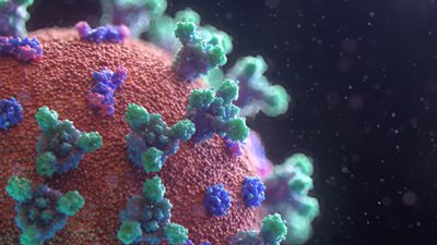 الصحة العالمية: وباء كورونا يتفشى بسرعة كبيرة في البرازيل وتشيلي وبيرو