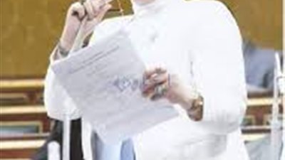 برلمانية تحذر من حملات إخوانية لضرب جيش مصر الأبيض 