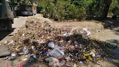 حملة مكبرة لإزالة الاشغالات ورفع القمامة من شوارع المعادي