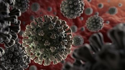 هيئة الدواء المصرية: مضادات التجلط والأسبرين لا تستخدم للوقاية من فيروس كورونا وتؤدى لآثار جانبية خطيرة