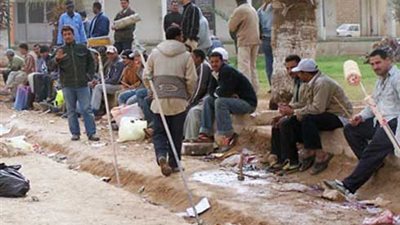 أخبار سارة بخصوص منحة القوى العاملة للعمالة غير المنتظمة.. اعرف التفاصيل