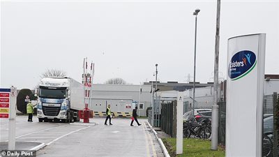 تفشي إصابات بمصنع للحوم الباردة يُنذر بموجة ثانية من كورونا