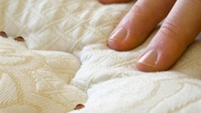 د.وفاء السيد للحجاج : إحذروا هذه الحشرة !