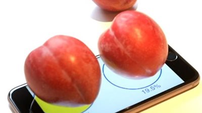 شاهد..  تطبيق يحول 