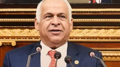 فرج عامر: تلقينا عرضًا تركيًا وسعوديًا لضم 