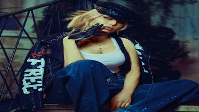 خناقة هيفاء وهبي ووزيري تنتقل إلى شاشات السينما