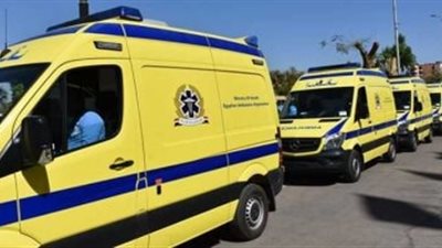 مصرع «مسن» دهسه قطار بمحطة الشعبية فى محافظة الغربية