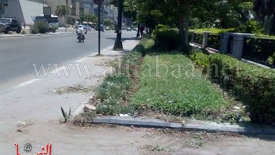 بتوجيهات نائب المحافظ.. حى المعادي يجري أعمالا مهمة بالشوارع