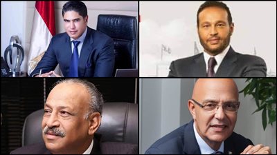 قائمة «نجوم البيزنس» تشعل معركة «الكراسى» فى مجلس الشيوخ