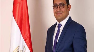 برلماني يدعو اتحادات المصريين بالخارج للحشد في انتخابات مجلس الشيوخ