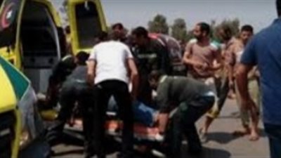 عاجل.. حادث بشع في البحيرة وهذه تفاصيله 