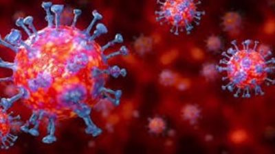 كوريا الجنوبية تكتشف 3 سلالات جديدة متحورة من فيروس كورونا