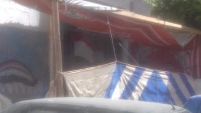 وراؤها مرشحون.. مهزلة بعدد من لجان الإسكندرية أثناء انتخابات الشيوخ