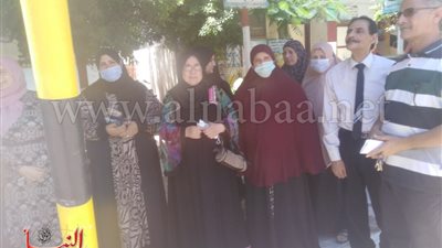 انتخابات مجلس الشيوخ.. إقبال ملحوظ من أهالي الدقهلية على لجان الاقتراع
