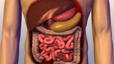 نوع غذائي سحري يحميك من أمراض القلب ويحسن عمل جهازك الهضمي