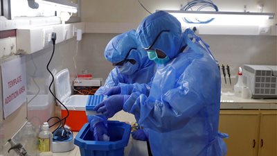 المصل واللقاح: مصر على أعتاب إنتاج لقاح كورونا