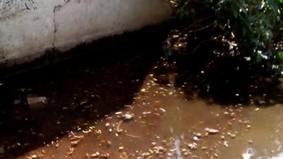 إحالة 158 من العاملين بالمستشفيات والوحدات الصحية بالدقهلية للتحقيق