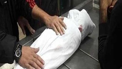 تفاصيل مثيرة في مقتل طفل بقنا بسبب بلح