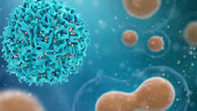 4 أكتوبر.. انطلاق ثاني مراحل التطعيم ضد البلهارسيا بالمنوفية