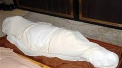 شقيقان يمزقان جسد منجد برأس الخليج في شربين