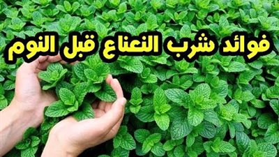 هذا ما سيحدث لو شربت كوبا من النعناع قبل النوم
