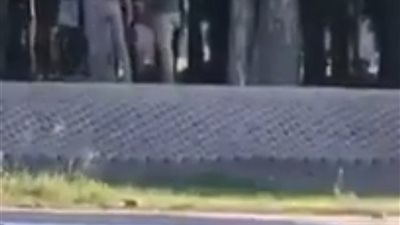 بالفيديو..ضحية جديدة بالإسماعيلية تزلزل الـ«سوشيال ميديا» بعد فتاة المعادي