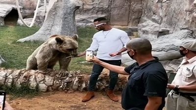 بالفيديو.. محمد رمضان يطعم 