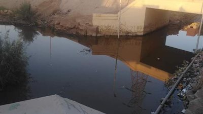 بالصور.. الرعب يسطير على أهالى «السد العالى» في أسوان