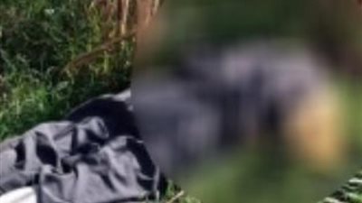 لعنة الميراث.. «خطة شيطانية» لشقيقين تخلصا من أخيهما ببني سويف