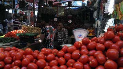 منافذ وزارة الزراعة لبيع الطماطم بـ 5 جنيه.. اعرف العناوين