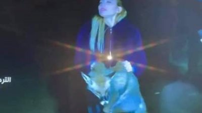 الحبس والغرامة في انتظار ريهام سعيد بعد أزمة صيد وتعذيب ثعلبا.. اعرف التفاصيل