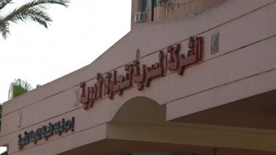 رسميًا.. نقل تبعية شركتي المصرية والجمهورية للأدوية لهيئة الشراء الموحد