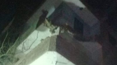 تفاصيل «توجع القلب».. نكشف الحالة الصحية لـ«طفل» سقط من أعلى منزله فى أسوان