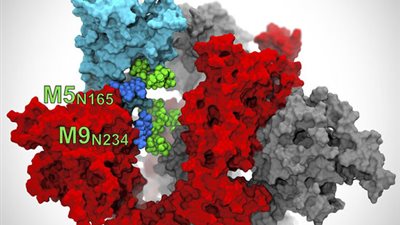 الإمارات تحتل المركز الأول بالشرق الأوسط في مواجهة كورونا
