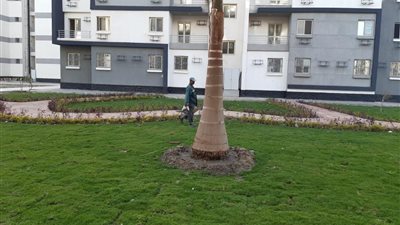 تعرف على آخر التطورات بـ