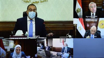 ضوابط المعاش المُبكر للموظفين والعاملين بقطاعات الدولة 