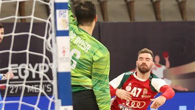 مونديال اليد .. المنتخب المجري يفوز على البرازيل في الدور الرئيسي  