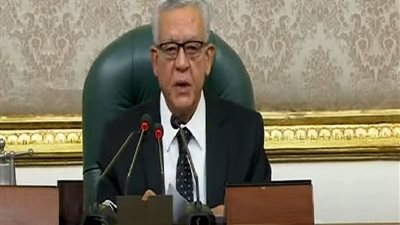 «البرلمان» يحذف محمد أبو العينين باشا وأحمد سعد بيه من المضبطة