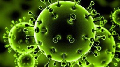 اللجنة العلمية لكورونا تدرب 28 ألف طبيب على بروتوكول علاج أعراض كورونا