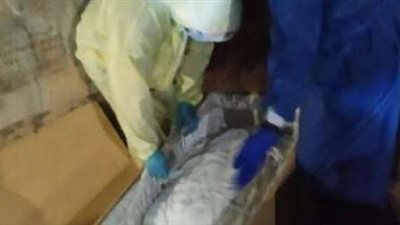 النقابة: ارتفاع شهداء الأطباء بكورونا لـ358 حتى الآن