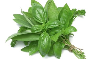 لن تصدق.. فوائد غير متوقعة على صحتك عند تناول الريحان 