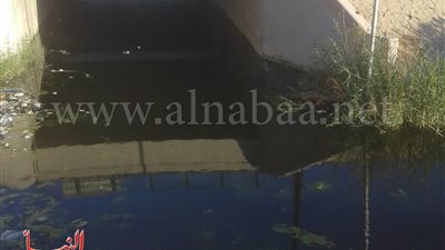 أهالي منطقة السد العالي يستغيثون بمحافظ أسوان لإنقاذهم من هذه الكارثة(صور)