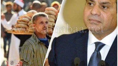 السيسي يوجه «المالية» بالقضاء على ظاهرة خطيرة بين المصريين