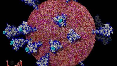 مستشار رئيس الجمهورية يُحذر من زيادة أعداد المصابين بـ