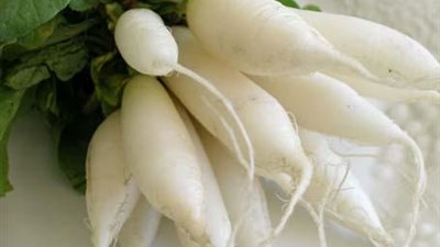 لن تتخيلها.. فوائد مذهلة لصحتك عند تناول الفجل 