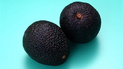 فوائد صحية غير مُتوقعة تدفعك لتناول الليمون الأسود على مائدة رمضان