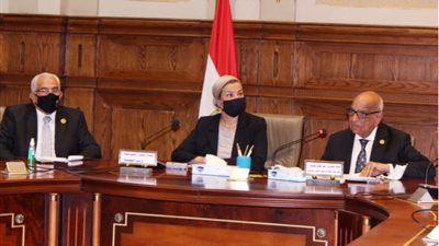 تفاصيل لقاء وزيرة البيئة بأعضاء مجلس الشيوخ