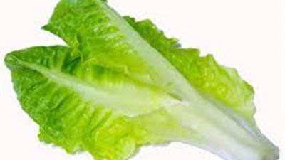 لن تصدق.. 6 فوائد 